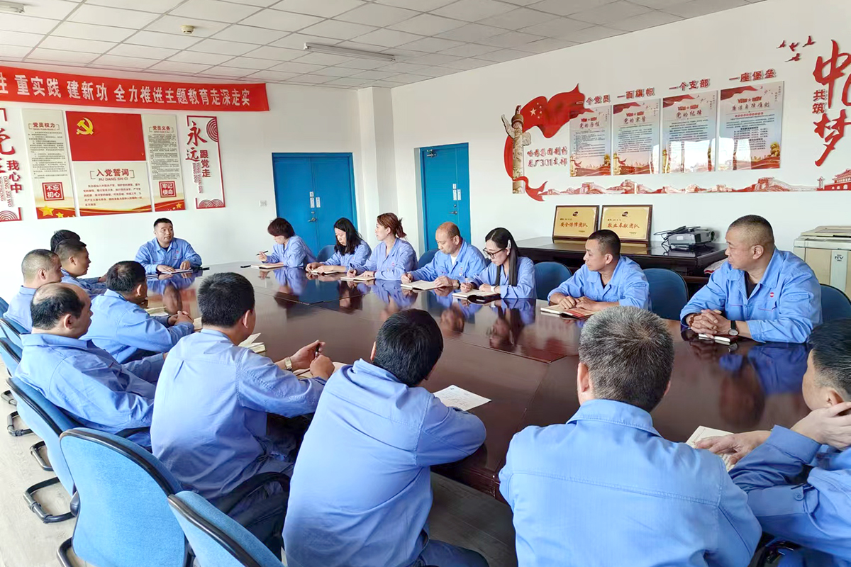 “五星級黨支部工作經(jīng)驗(yàn)分享”系列報(bào)道——??哈藥總廠301車間黨支部黨建引領(lǐng) 向美而行 踐行責(zé)任擔(dān)當(dāng)